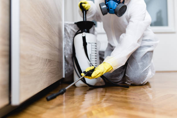 Best Pest Control Near Me  in Greensboro, NC