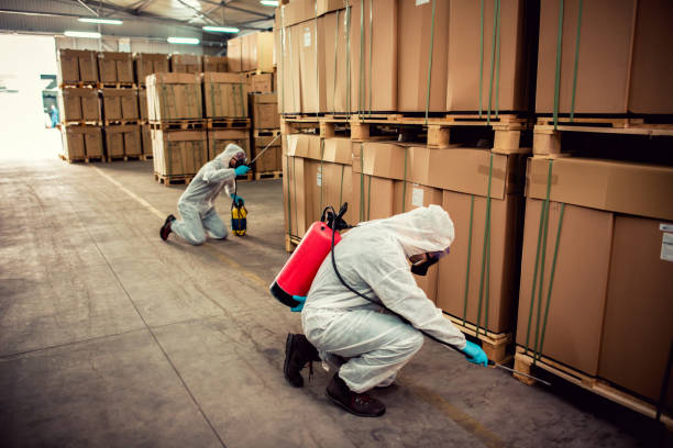 Best Emergency Pest Control  in Greensboro, NC