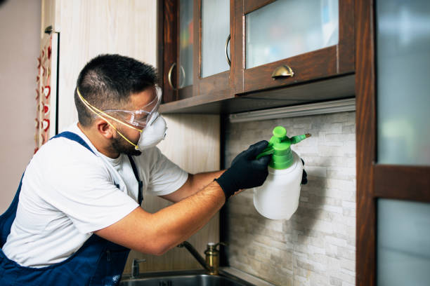 Best Flea Control Services  in Greensboro, NC
