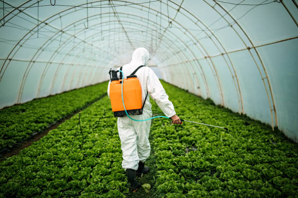 Best Local Pest Control Services  in Greensboro, NC