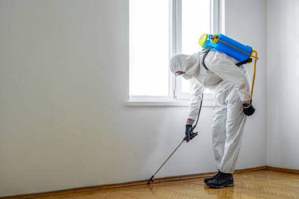Best Pest Removal Services  in Greensboro, NC