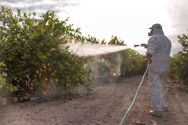 Best Ant Control Services  in Greensboro, NC