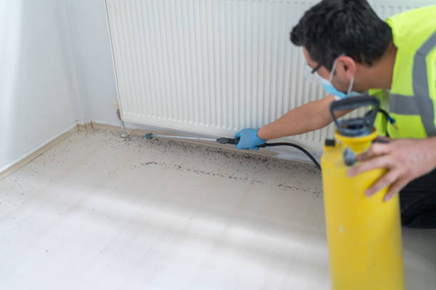Best Mosquito Control Services  in Greensboro, NC