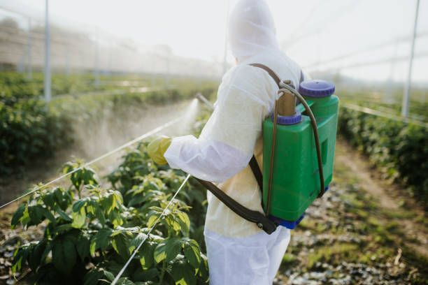 Best Exterminator Services  in Greensboro, NC